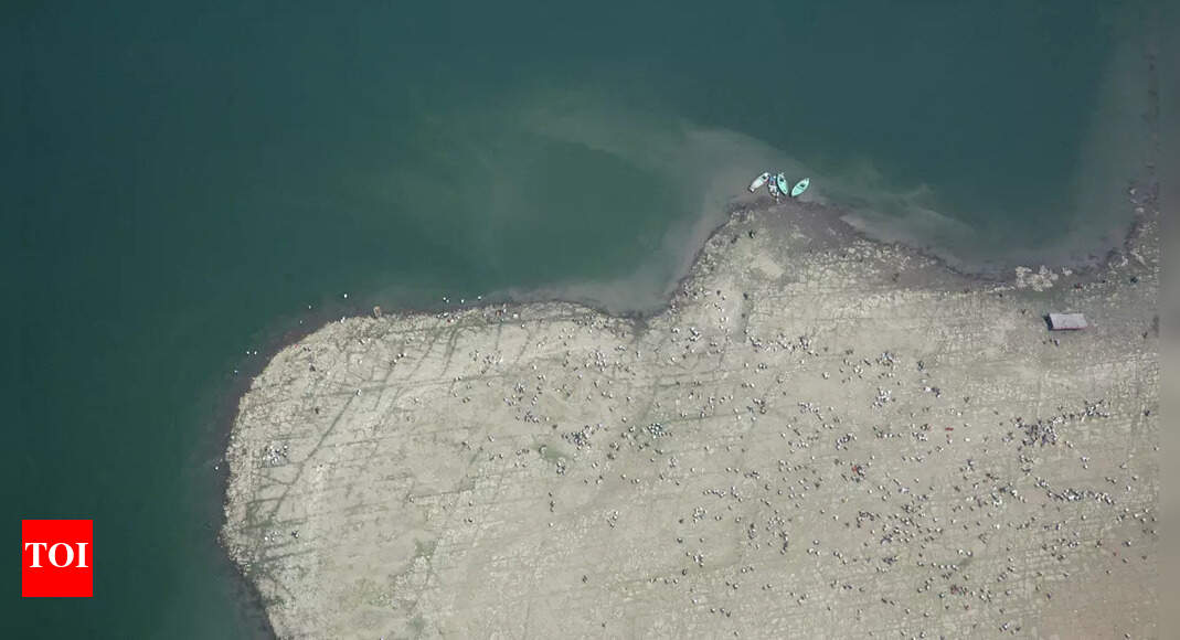 Telangana: Confluence of Musi-Krishna may throw up diamonds, says study