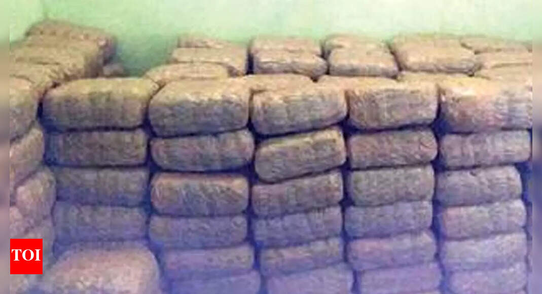 TN: Over 6.6k held in crackdown on sale of drugs