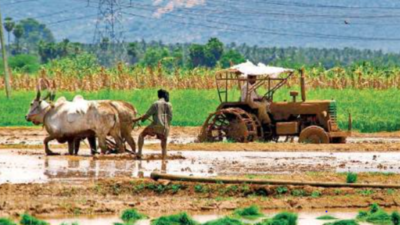 Telangana’s low tenant landholding bodes well for crop shift plan