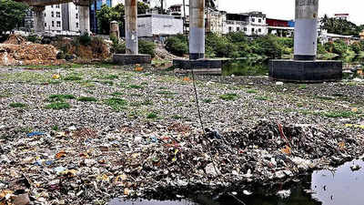 Chennai: Adyar riverbank continues to be garbage dump, says NGT panel
