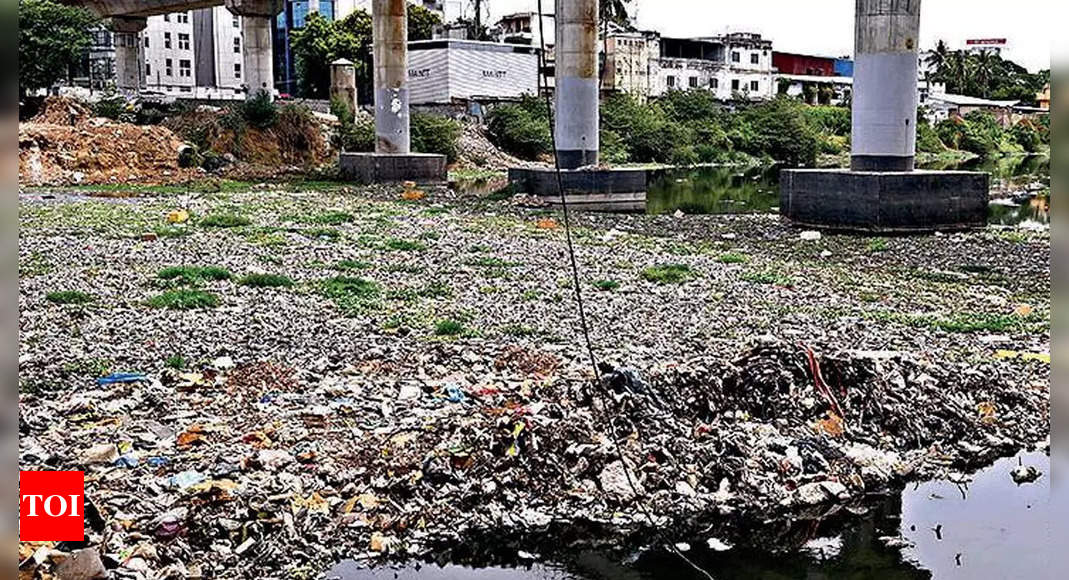 Ngt: Adyar Riverbank Continues To Be Garbage Dump, Says Ngt Panel ...