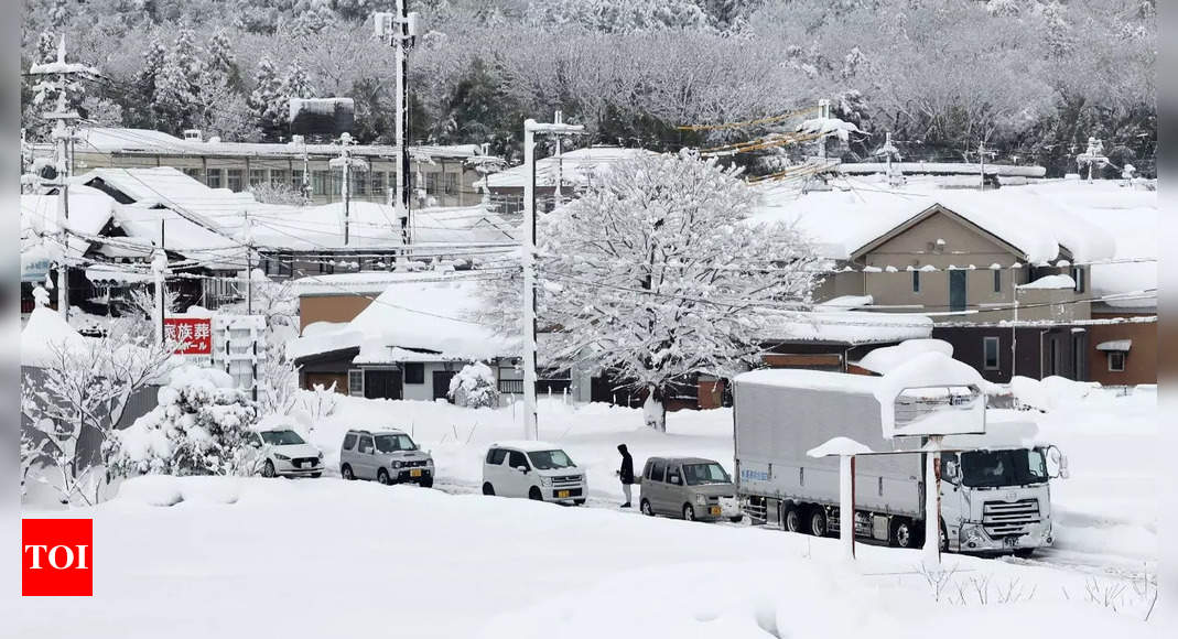 Heavy snow forecast for greater Tokyo on Friday - The Japan Times