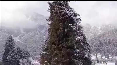 Slight respite from intense cold conditions in Kashmir after snowfall