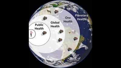 Planetary health key to avoiding future pandemics: Experts