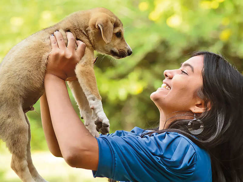 2021 saw many pets being adopted – but also abandoned - Times of India