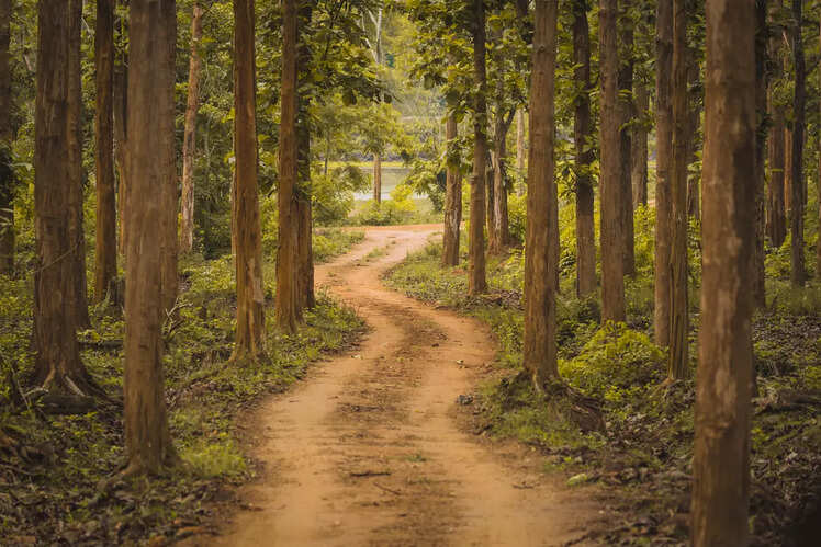 Unexplored and hidden destinations