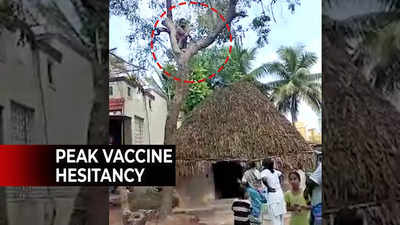 Man climbs up tree to avoid vaccine