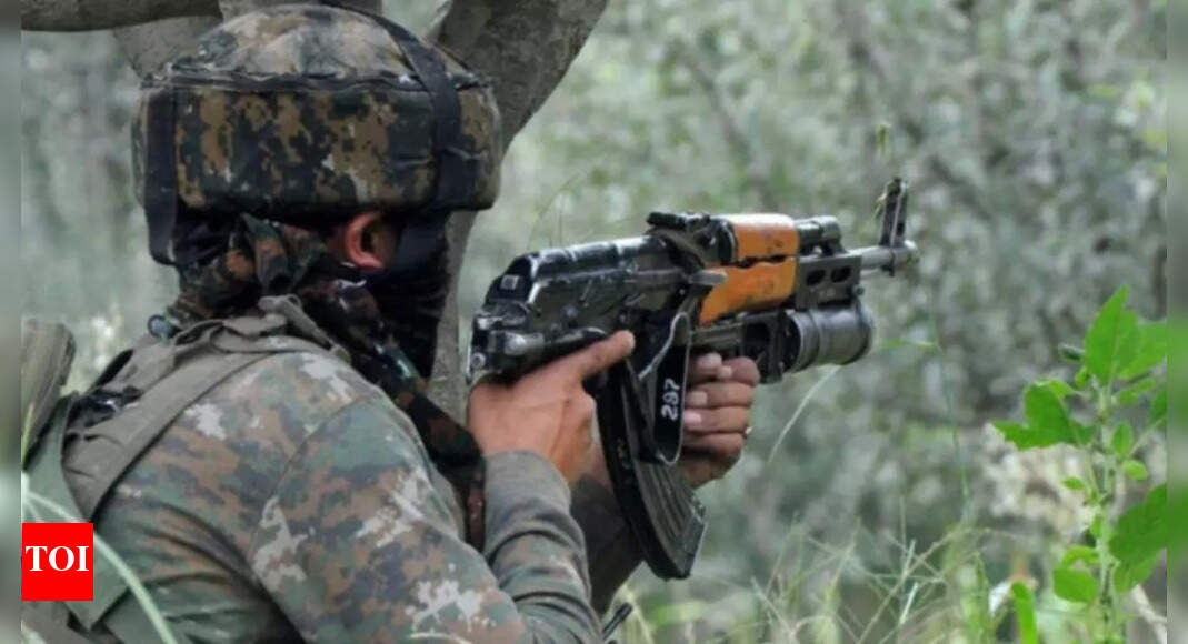 3 terrorists killed in separate encounters in south Kashmir