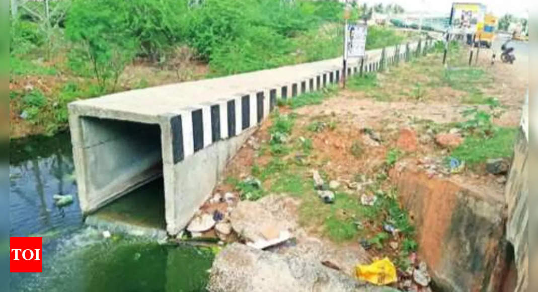 Ambattur Lake: Concern As Sewage Water Drains Into Ambattur Lake ...