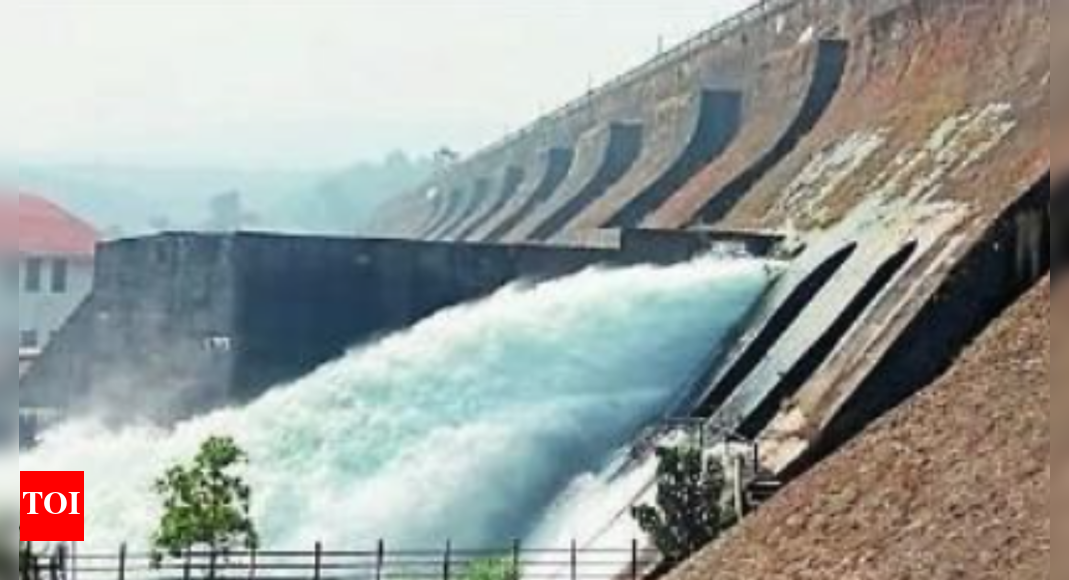 Radhanagari Radhanagari Dam Gate Malfunction Leads To 6,000 Cusec