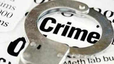 Gujarat's eagle eye project for crime control