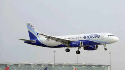 IndiGo paves way for Gangwal-Bhatia dispute to end by removing stake sale restrictions