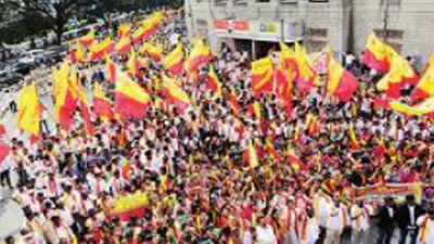 Karnataka Bandh: As Divisions Crop Up, Pro-Kannada Organisations Call ...