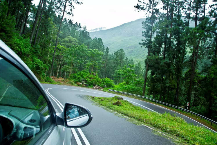 Go on road trips