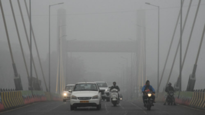 New Year begins on chilly note, fog across Madhya Pradesh