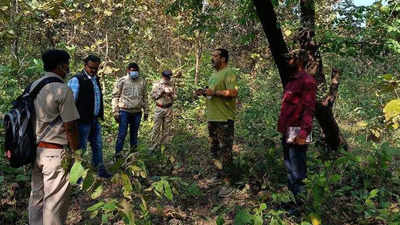 Maharashtra: Gadchiroli tigress poaching case cracked, 4 arrested