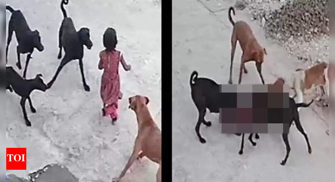 Horror on camera: Pack of dogs maul 4-yr-old in MP