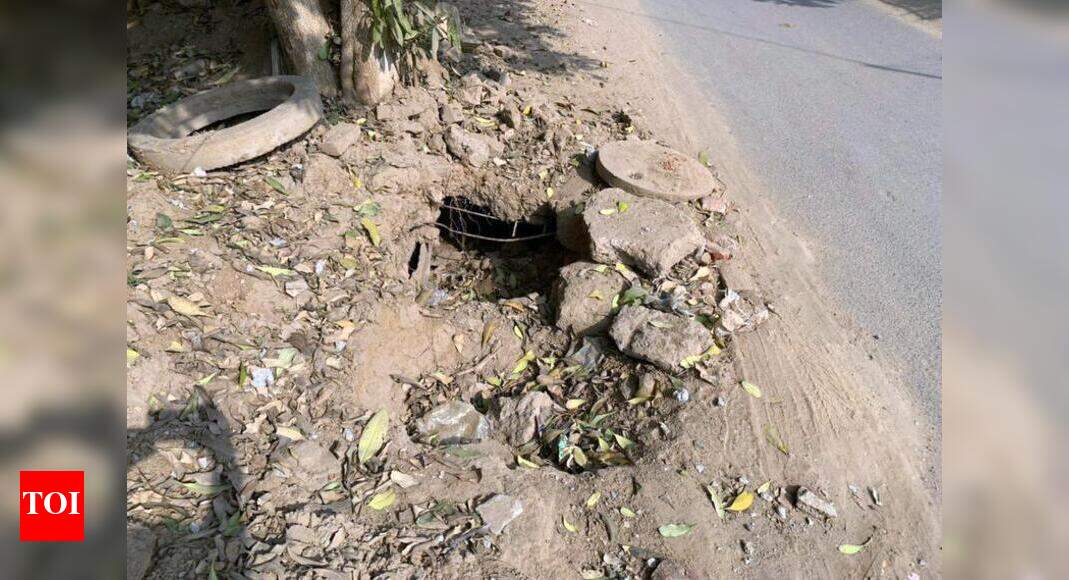 ‘Trash chokes drains in Sector 5, no MCG step yet to clean them