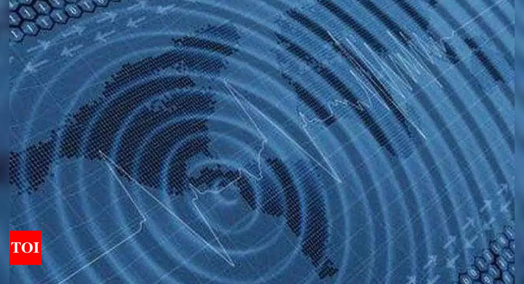 6.1 magnitude earthquake hits Vanuatu – EMSC – Times of India