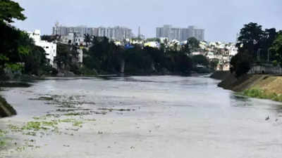 Tamil Nadu: ‘Adyar, Cooum waters still polluted’
