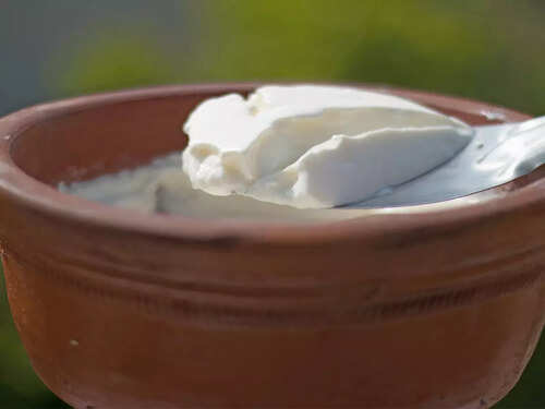 Having a bowl of curd daily can prevent heart attack, fight off infections and the right way to set it in winters | The Times of India Having a bowl of curd daily can prevent heart attack, fight off infections and the right way to set it in winters | The Times of India