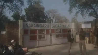 Haryana: Naraingarh Sugar Mill MD arrested in Rs 100 crore fraud case