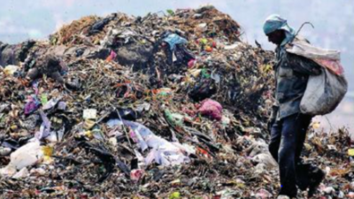 Delhi civic bodiess rush to meet revised dates for flattening landfills