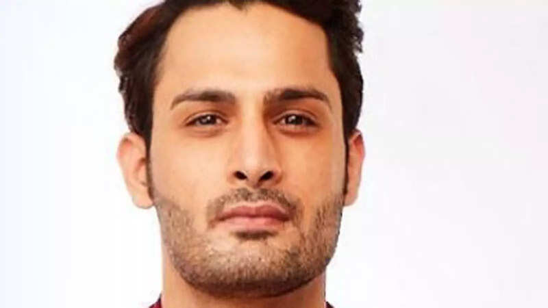 Is Umar Riaz out of 'Bigg Boss' house?