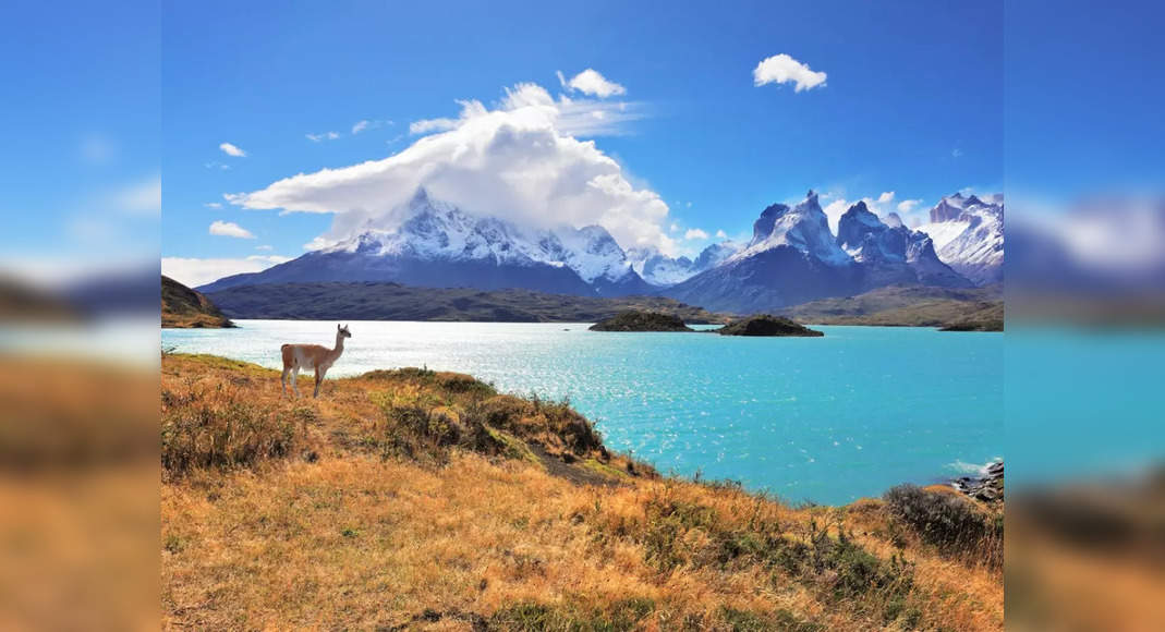 Política de Cambio Climático de Chile: Chile redactará una nueva constitución con el cambio climático como tema central
