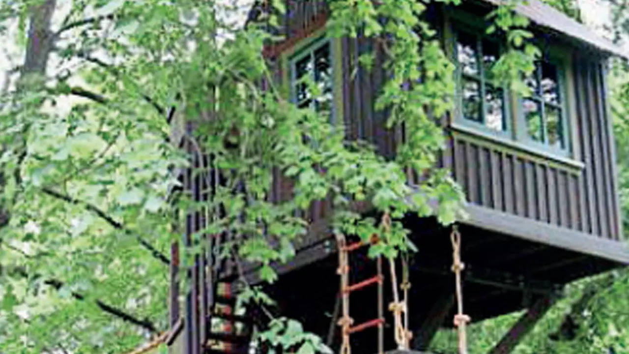 Wooden Rope Ladder, For Construction at Rs 400/meter in Mumbai