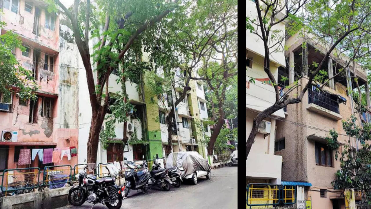 Cmda: Cmda To Act Against 216 Flat Owners In Anna Nagar Colony For Bldg  Violations | Chennai News - Times of India