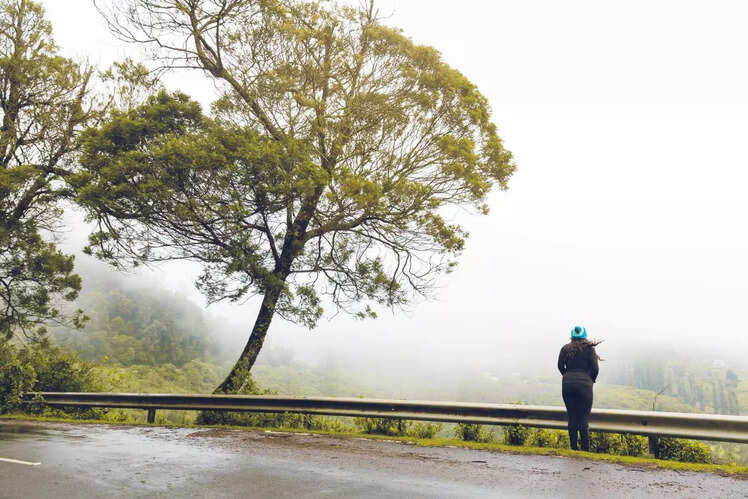 Bengaluru to Ooty 