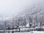 Kashmir Valley receives fresh snowfall