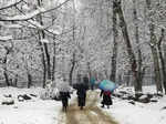 Kashmir Valley receives fresh snowfall