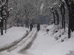 Kashmir Valley receives fresh snowfall