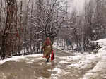 Kashmir Valley receives fresh snowfall