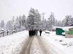 Kashmir Valley receives fresh snowfall