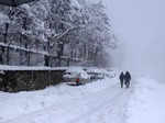 Kashmir Valley receives fresh snowfall