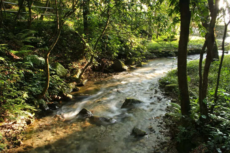 ​Shivapuri National Park