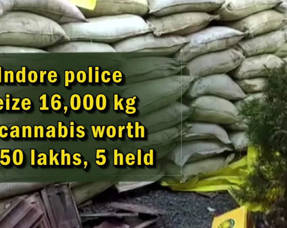 
Indore police seize 16,000 kg of cannabis worth Rs 50 lakhs, 5 held
