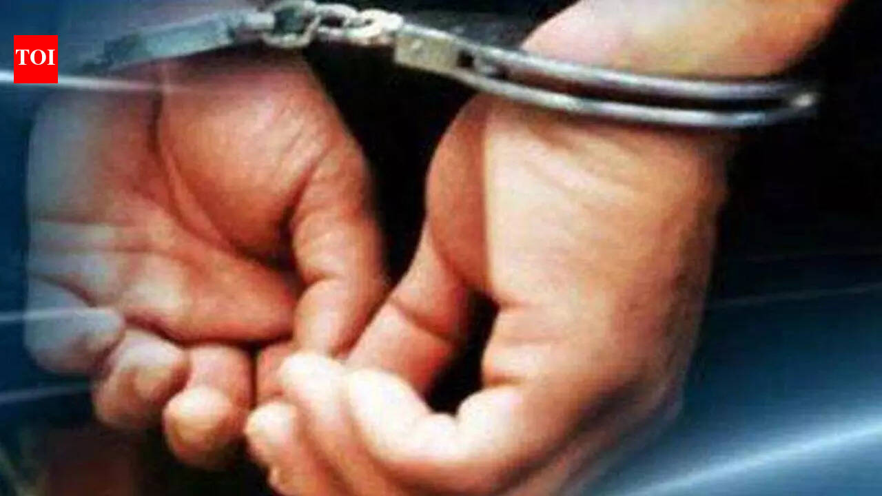 Four pistols seized, two arrested in Jodhpur | Jodhpur News - The Times ...