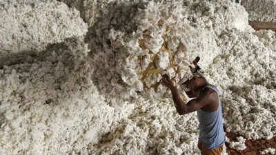 Cotton exports begin to slide as traders seek high premiums