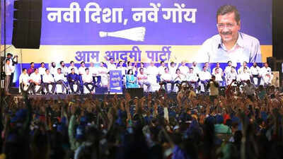 AAP announces first list of 10 candidates for Goa elections | Goa News ...