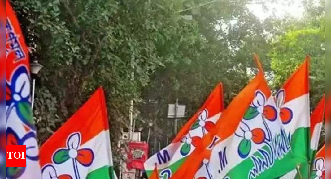 , After sending feelers to Congress and GFP, TMC says AAP also part of anti-BJP space in Goa, The World Live Breaking News Coverage & Updates IN ENGLISH