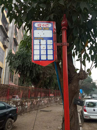 Best bus stop sign invisible - Times of India