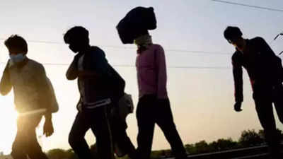 Rajasthan: Migrants’ return may spike infections in tribal districts