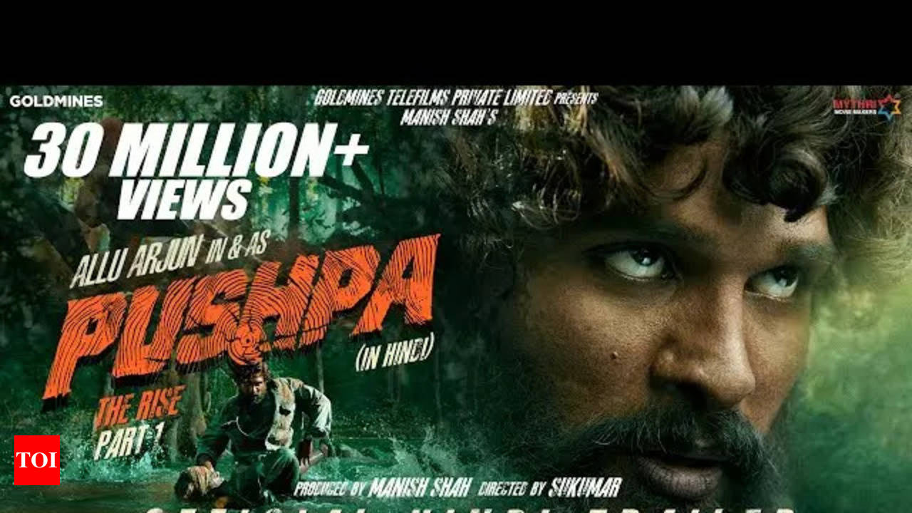 Allu Arjun to attend Berlin Film Festival for the screening of 'Pushpa Part  1: The Rise' | - Times of India
