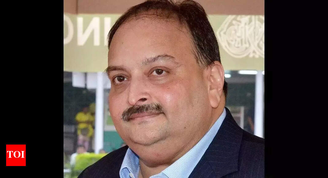 Choksi: Hyd Company Now Owns Choksi’s Firm | Hyderabad News - Times of ...