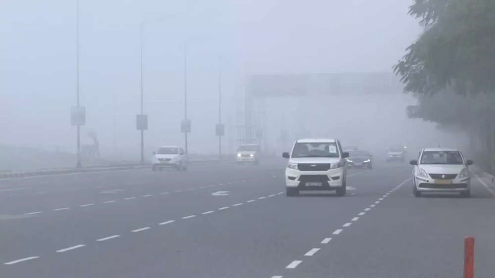 Photos: Thick Fog Envelops Delhi, Reduces Visibility | The Times Of India