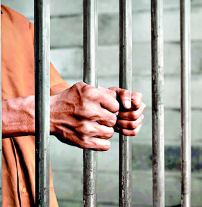 Create separate jail wards for trans inmates: MHA to states